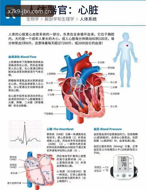 7大核心功能解析：JBO赛事情报如何重塑体育竞猜体验